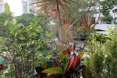 Apartamento à venda com 4 quartos, sendo 2 suítes, em Real Parque, São Paulo, SP