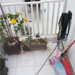 Casa à venda com 4 quartos, sendo 1 suíte, em Santana, São Paulo, SP