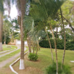 Chácara à venda com 8 quartos, sendo 5 suítes, em Chácara Belvedere, Indaiatuba, SP