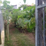 Chácara à venda com 5 quartos, sendo 1 suíte, em Jardim Marabá, Itapetininga, SP