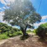 Lote à Venda – Oportunidade! 1.000 m² – Recanto Campestre Internacional de Viracopos (Gleba 4) – Indaiatuba/SP