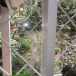 Sobrado à venda com 3 quartos, sendo 1 suíte, em Vila Albertina, São Paulo, SP