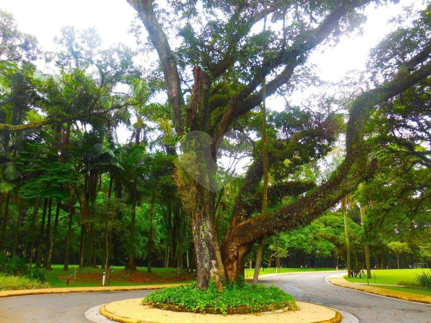 Terreno à venda em Alto da Boa Vista, São Paulo, SP