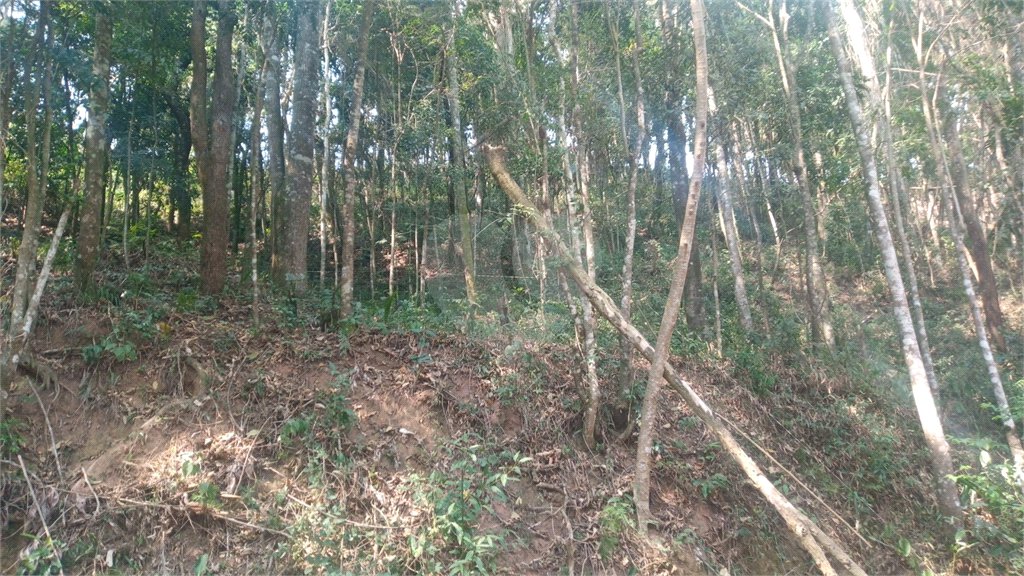 Terreno à venda em Serra da Cantareira, Mairiporã, SP