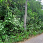 Terreno à venda no condomínio Sausalito, Mairiporã - SP