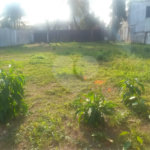 Terreno à venda em Alto da Boa Vista, São Paulo, SP