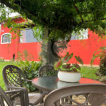 Chácara para alugar com 4 quartos, sendo 2 suítes,  no Centro (canguera), São Roque, SP