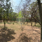 Terreno à venda no condomínio Portal da Primavera, Sorocaba - SP