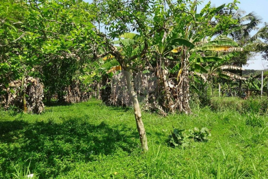 Terreno à venda em Horto Florestal, São Paulo, SP