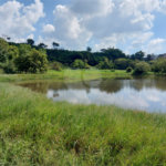 Área de Terra à venda em Éden, Sorocaba, SP