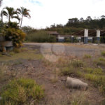 Terreno à venda em Vista Alegre, Vinhedo, SP