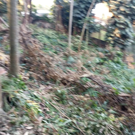 Terreno à venda com 1 suíte em Alto da Boa Vista, São Paulo, SP