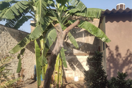 Casa à venda com 2 quartos, sendo 1 suíte, em Vila Recreio, Ribeirão Preto, SP