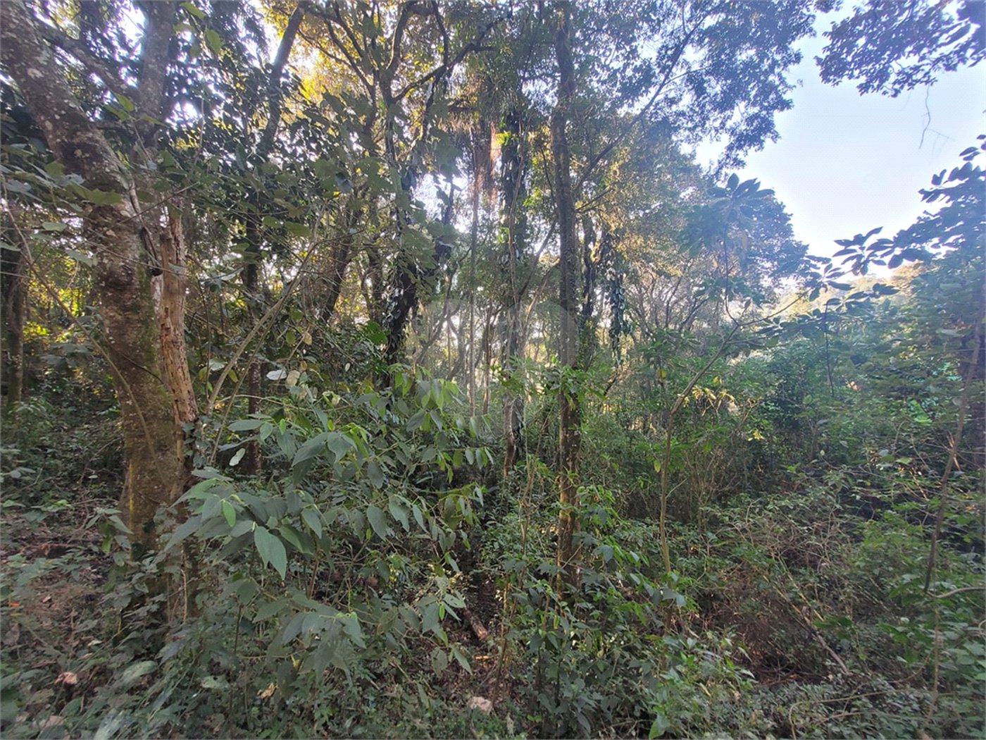 Terreno à venda no condomínio Alpes da Cantareira, Mairiporã - SP