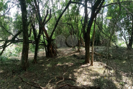 Terreno à venda em Vila Pedra Branca, São Paulo, SP