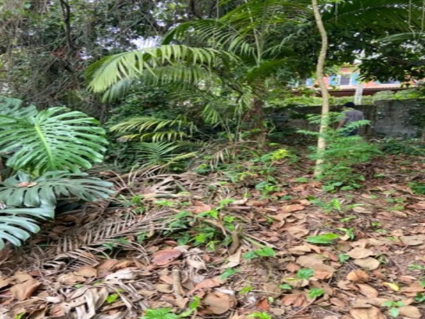 Terreno à venda em Jardim Leonor, São Paulo, SP