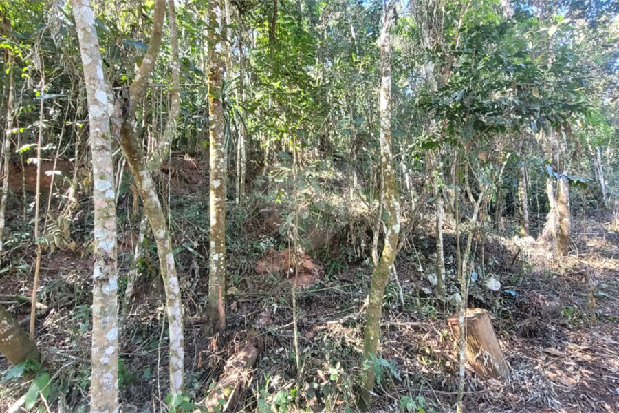 Condomínio à venda em Caraguatá, Mairiporã, SP
