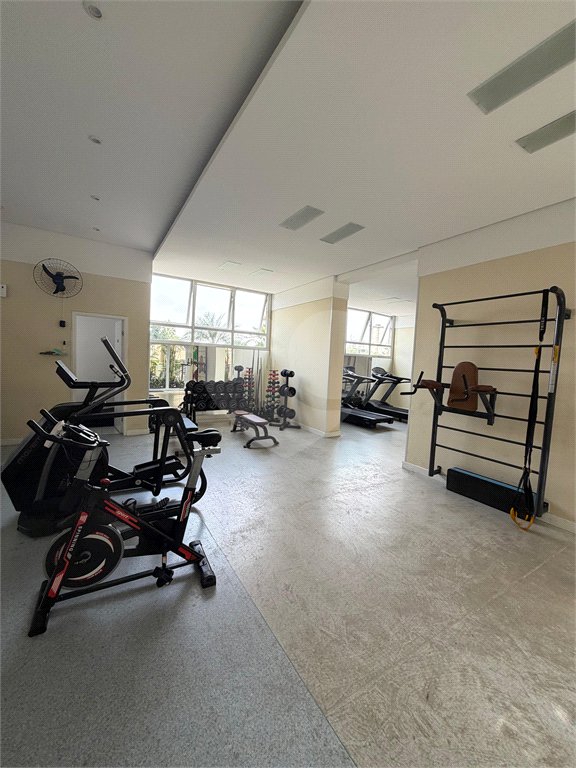 Apartamento à venda com 3 quartos, sendo 1 suíte, em Jardim Aeroporto, São Paulo, SP