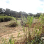 Terreno à venda ou para alugar em Cachoeira, Vinhedo, SP