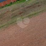Terreno à venda em Flanboyant Residencial Park, Ponta Porã, MS