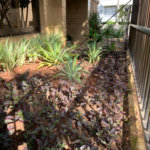 Apartamento à venda com 1 suíte em Enseada, Guarujá, SP
