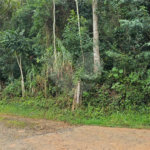 Terreno à venda em Pavão (canguera), São Roque, SP