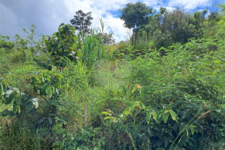 Terreno à venda em Jardim Estância Brasil, Atibaia, SP