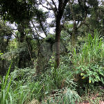 Terreno à venda no condomínio Gleba E2, Mairiporã - SP