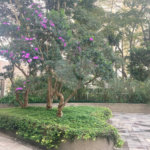 Apartamento à venda com 2 quartos em Granja Julieta, São Paulo, SP