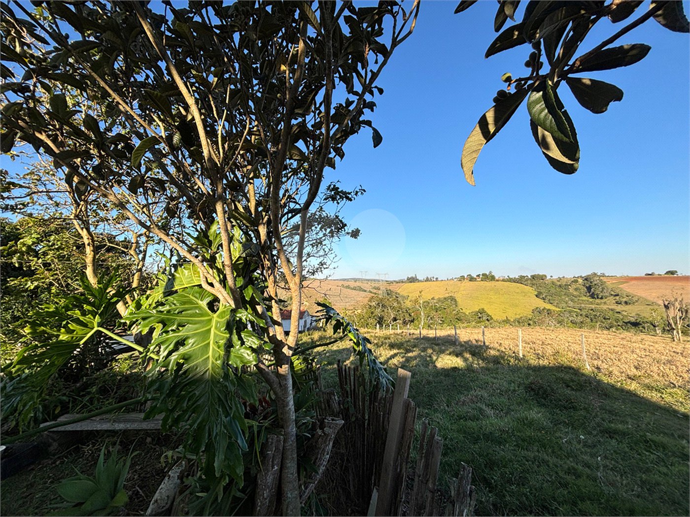 Sítio à venda com 3 quartos, sendo 1 suíte,  em Canta Galo, Itapetininga, SP
