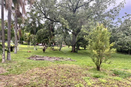 Terreno à venda em Loteamento Terras de São Pedro e São Paulo, Salto, SP
