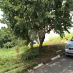 Terreno à venda no condomínio Terras de São Francisco, Vinhedo - SP