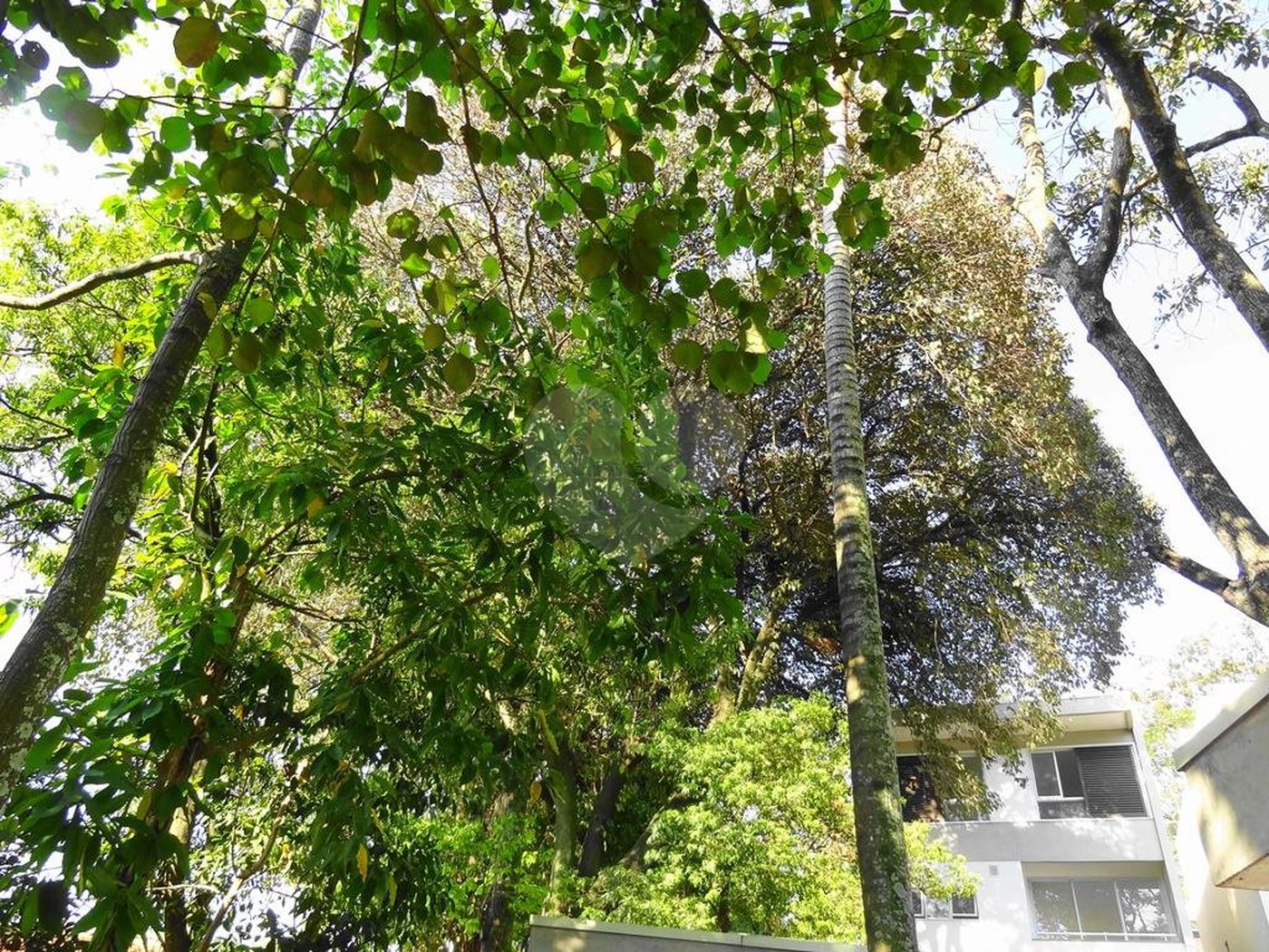 Casa à venda com 4 quartos, sendo 3 suítes,  no condomínio Domus, São Paulo - SP