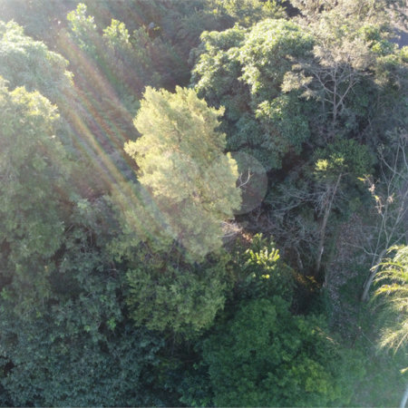 Terreno à venda em Jardim dos Estados, Ponta Porã, MS