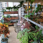 Apartamento à venda com 3 quartos, sendo 1 suíte,  em Jardim Ampliação, São Paulo, SP
