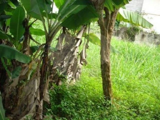 Terreno à venda em Tremembé, São Paulo, SP