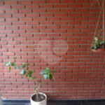 Sobrado à venda com 3 quartos, sendo 1 suíte, em Jardim do Colégio (zona Norte), São Paulo, SP