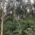 Terreno à venda no condomínio Alpes da Cantareira, Mairiporã - SP