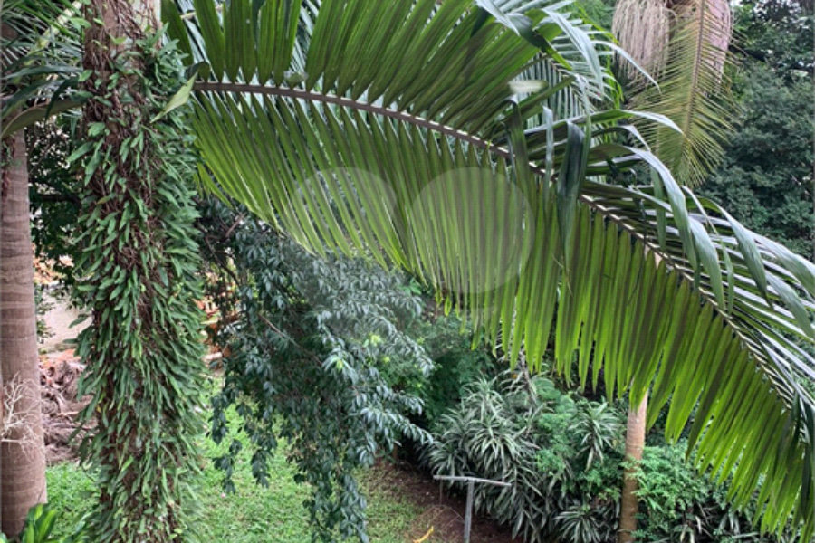Sobrado à venda com 4 suítes em Tremembé, São Paulo, SP