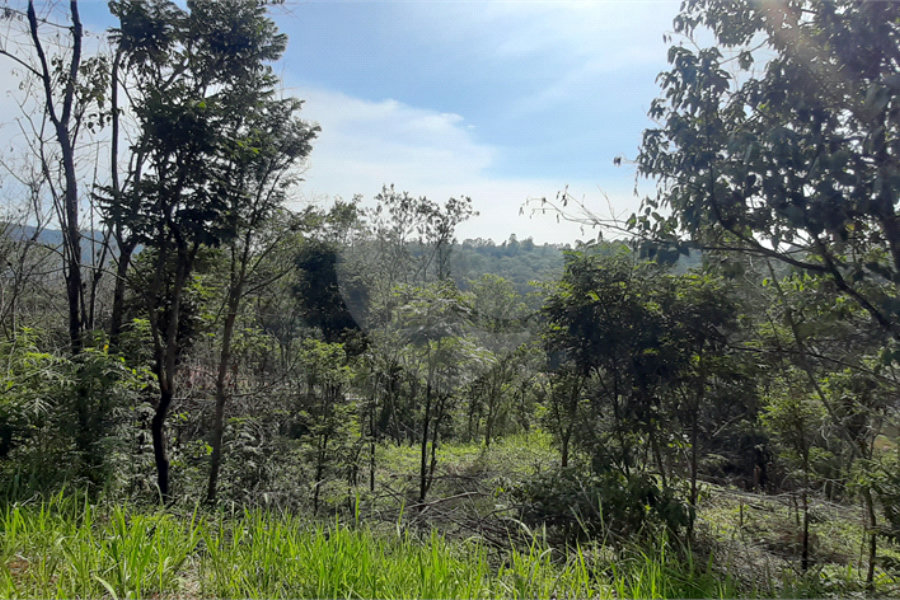 Terreno à venda em São Vicente, Mairiporã, SP