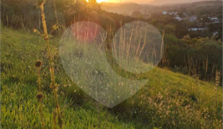 Terreno à venda em Campo Grande, Rio de Janeiro, RJ