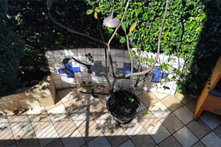 Sobrado à venda com 3 quartos, sendo 1 suíte,  em Jardim Bonfiglioli, São Paulo, SP