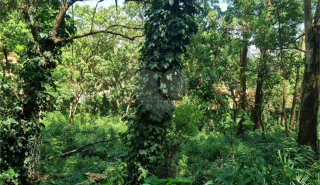 Terreno à venda no condomínio Horto do Ypê, São Paulo - SP