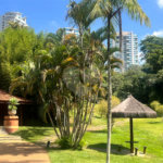 Cobertura à venda ou para alugar com 4 suítes em Jardim Morumbi, São Paulo, SP