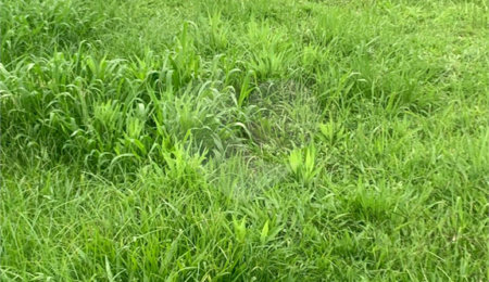 Terreno à venda no condomínio Residencial Veneza, Mogi das Cruzes - SP