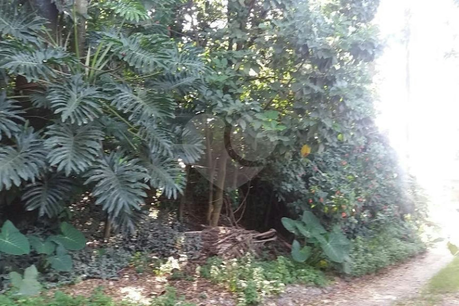 Terreno à venda em Tremembé, São Paulo, SP