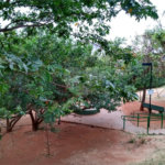 Apartamento à venda com 2 quartos em Vila Nova Cachoeirinha, São Paulo, SP