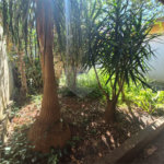 Casa à venda, com 3 quartos (1 suíte com closet) no bairro Caxambú – Piracicaba-SP
