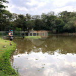 Casa à venda com 3 suítes no condomínio Village Ipanema I, Araçoiaba da Serra - SP