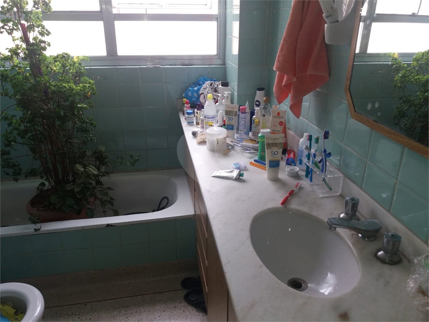 Apartamento à venda com 3 quartos em Santana, São Paulo, SP